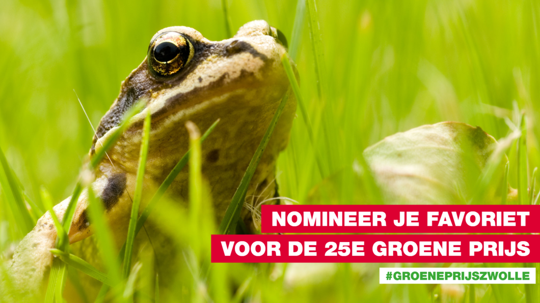 Een foto van een kikker met op de voorgrond de tekst: Nomineer je favoriet voor de 25e Groene Prijs #groeneprijszwolle
