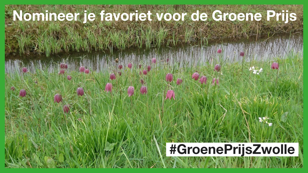 Groene Prijs