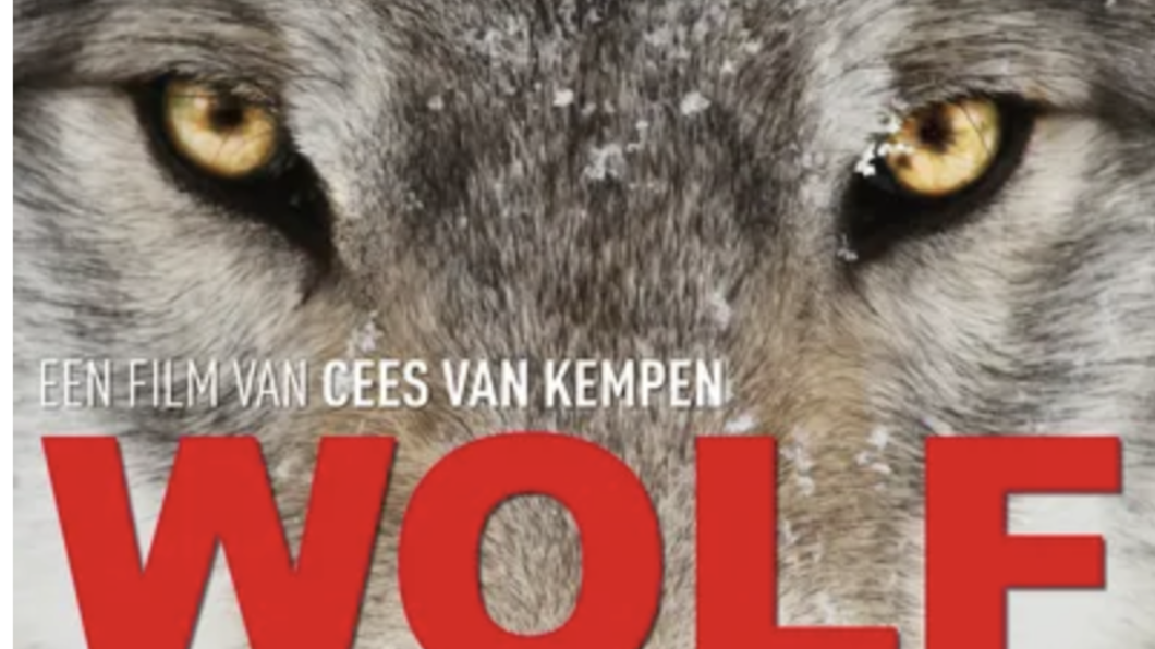 Film Wolf