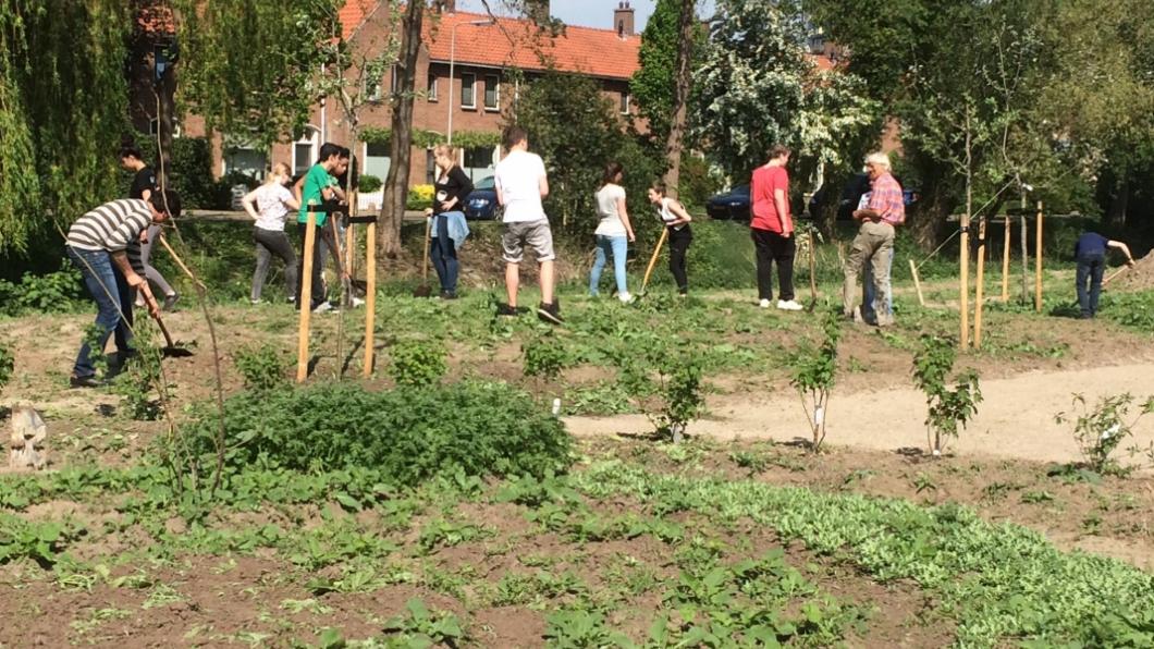 Beleeftuin Vogellanden Beleeftuin Vogellanden