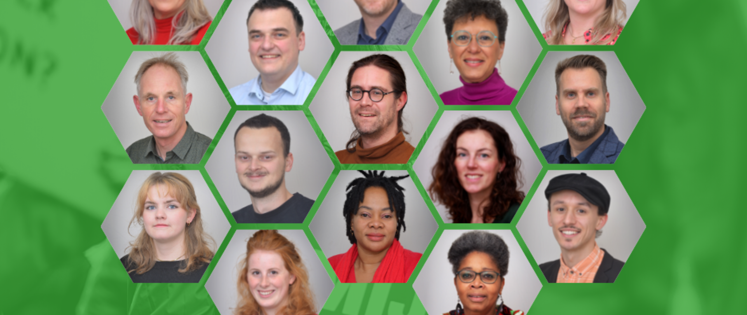 Onze top-15 deelnemers