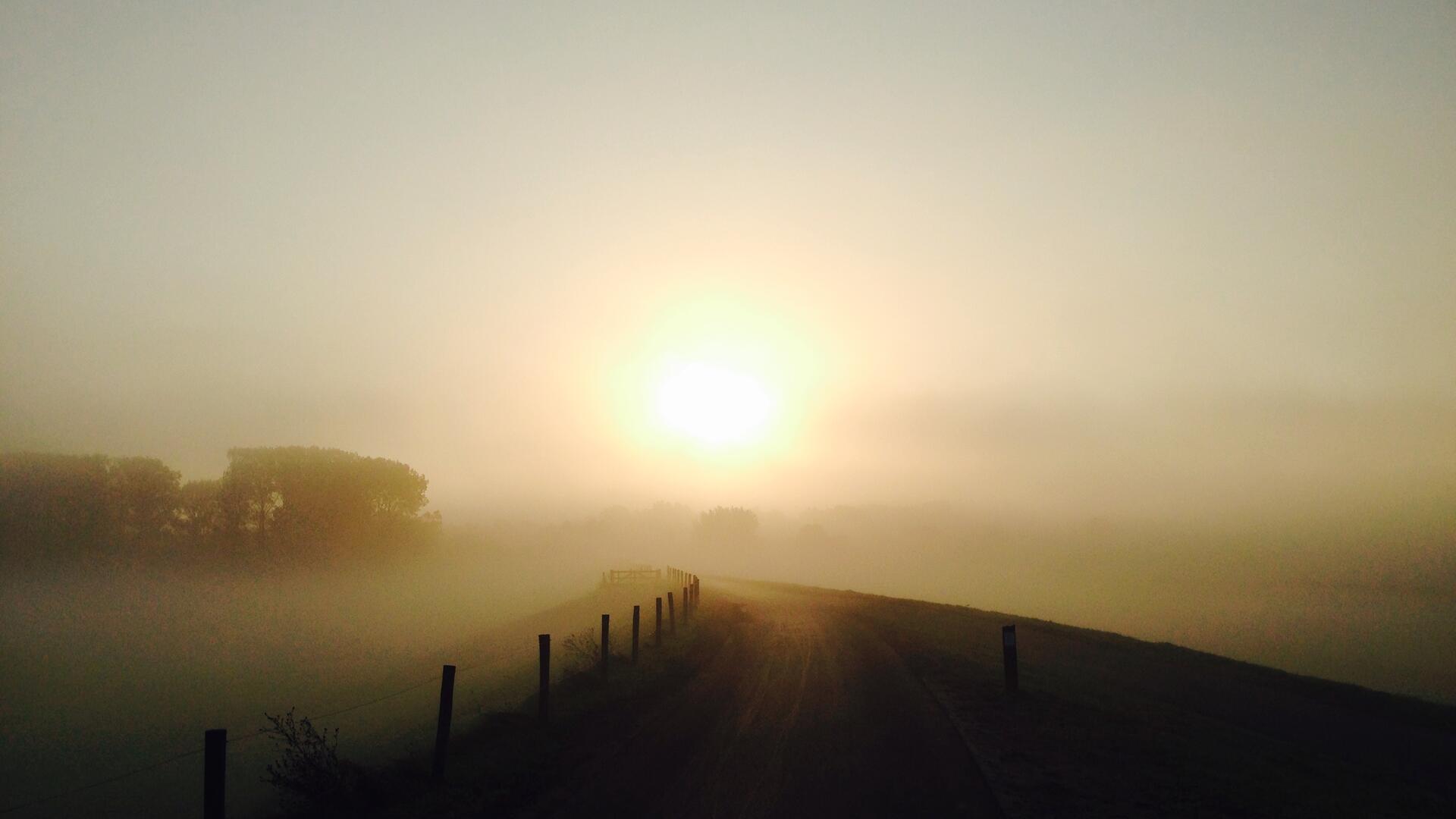 Zon Zwolle