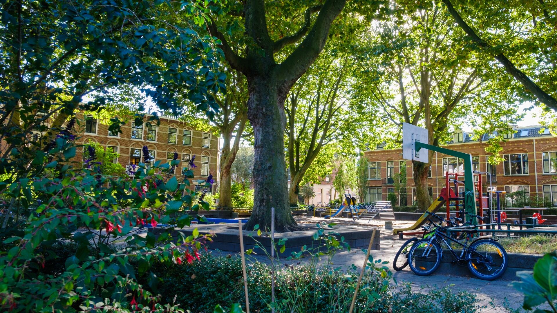 Parkje in een stad
