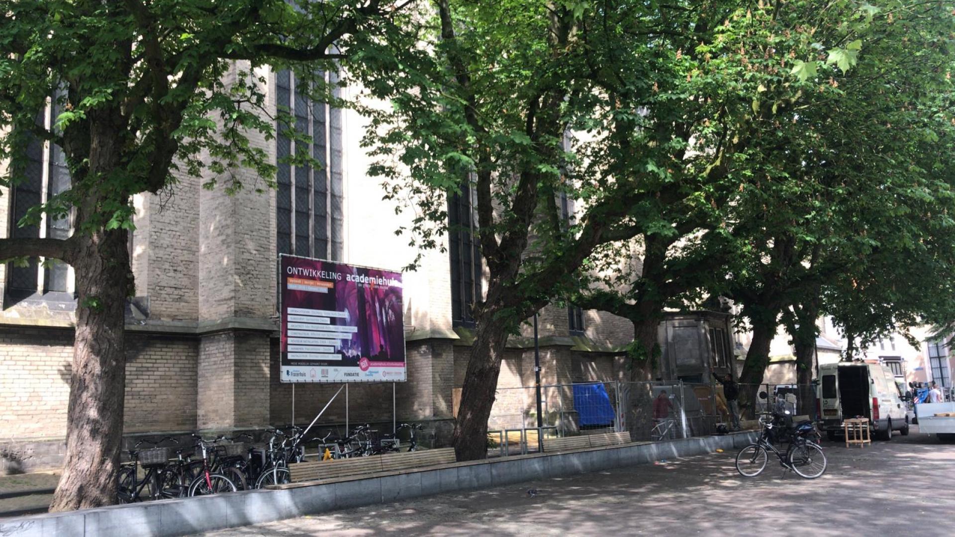 Paardekastanjes op het Grote Kerkplein. De tweede van links moet worden gekapt.