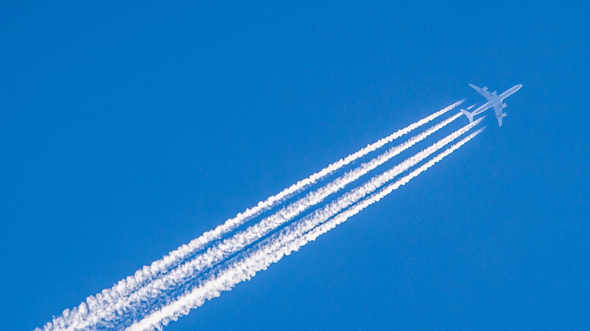 william-hook-58604-unsplash.jpg